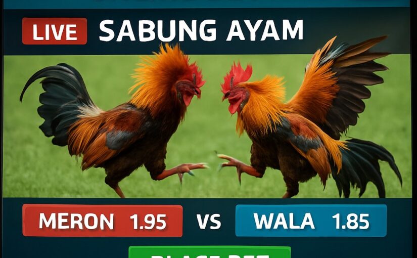 Mengenal Informasi Laga Sabung Ayam Online di MBO128